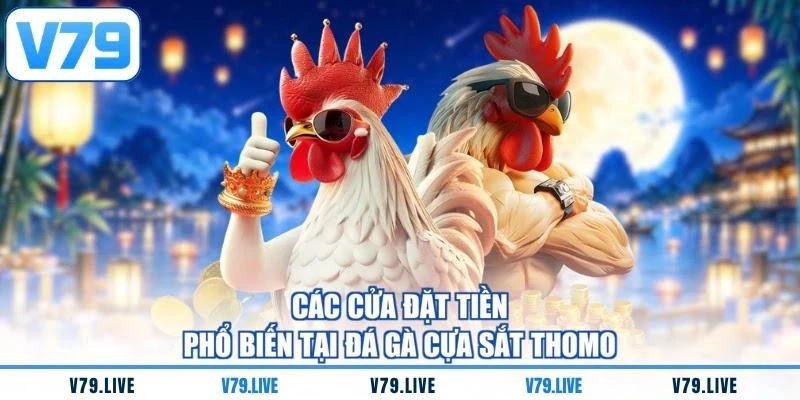 cac-cua-dat-tien-pho-bien-tai-da-ga-cua-sat-thomo Các cửa đặt tiền phổ biến tại đá gà cựa sắt Thomo
