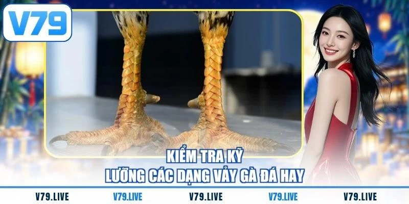 kiem-tra-ky-luong-cac-dang-vay-ga-da-hay Kiểm tra kỹ lưỡng các dạng vảy gà đá hay