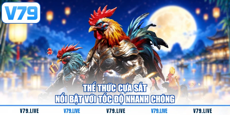 Thể thức cựa sắt nổi bật với tốc độ nhanh chóng